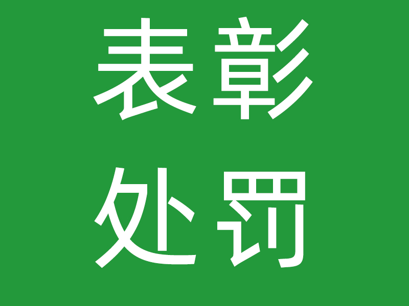 金凤凰社工2020年度获得表彰、处罚情况